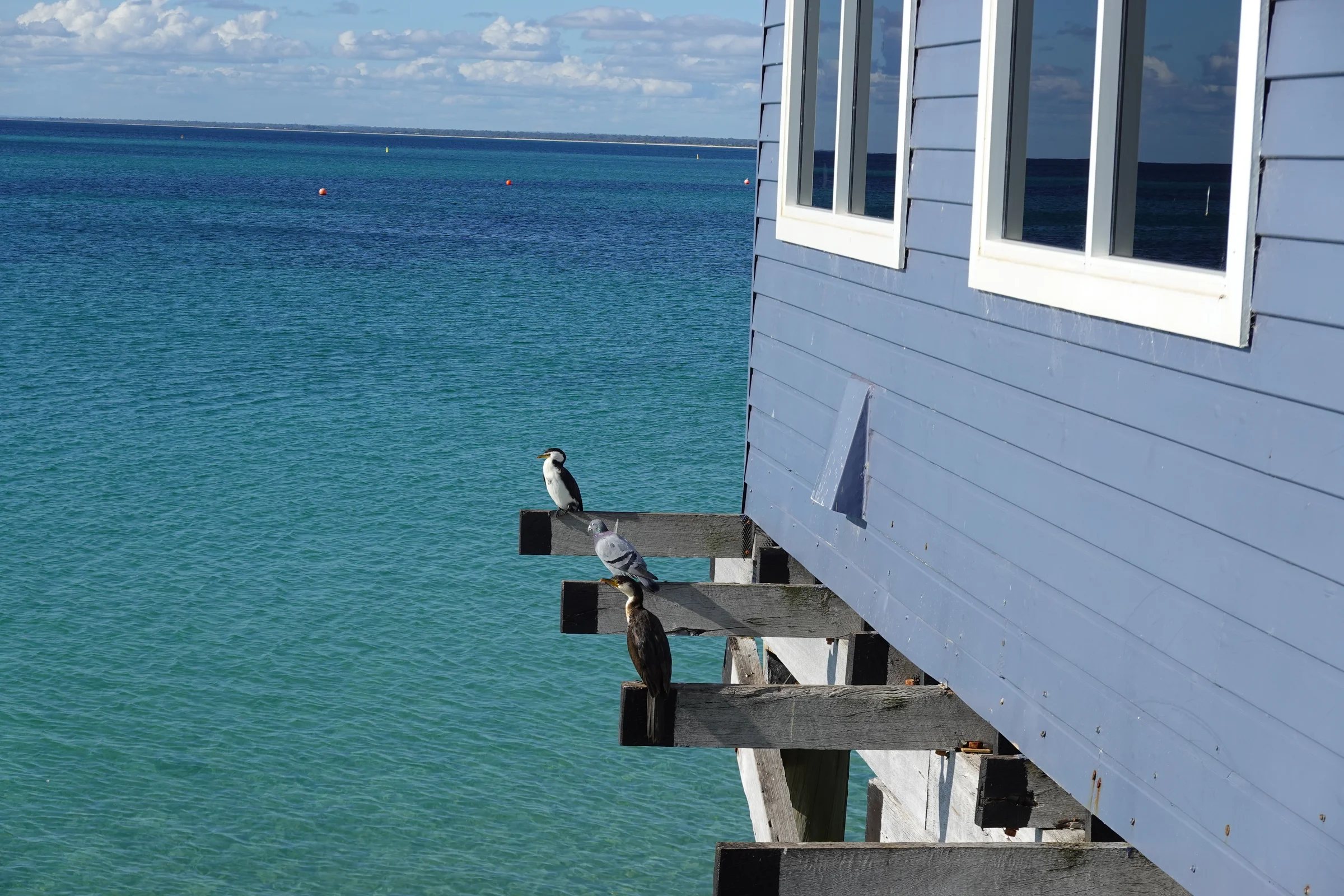 Busselton Jetty photograph 2