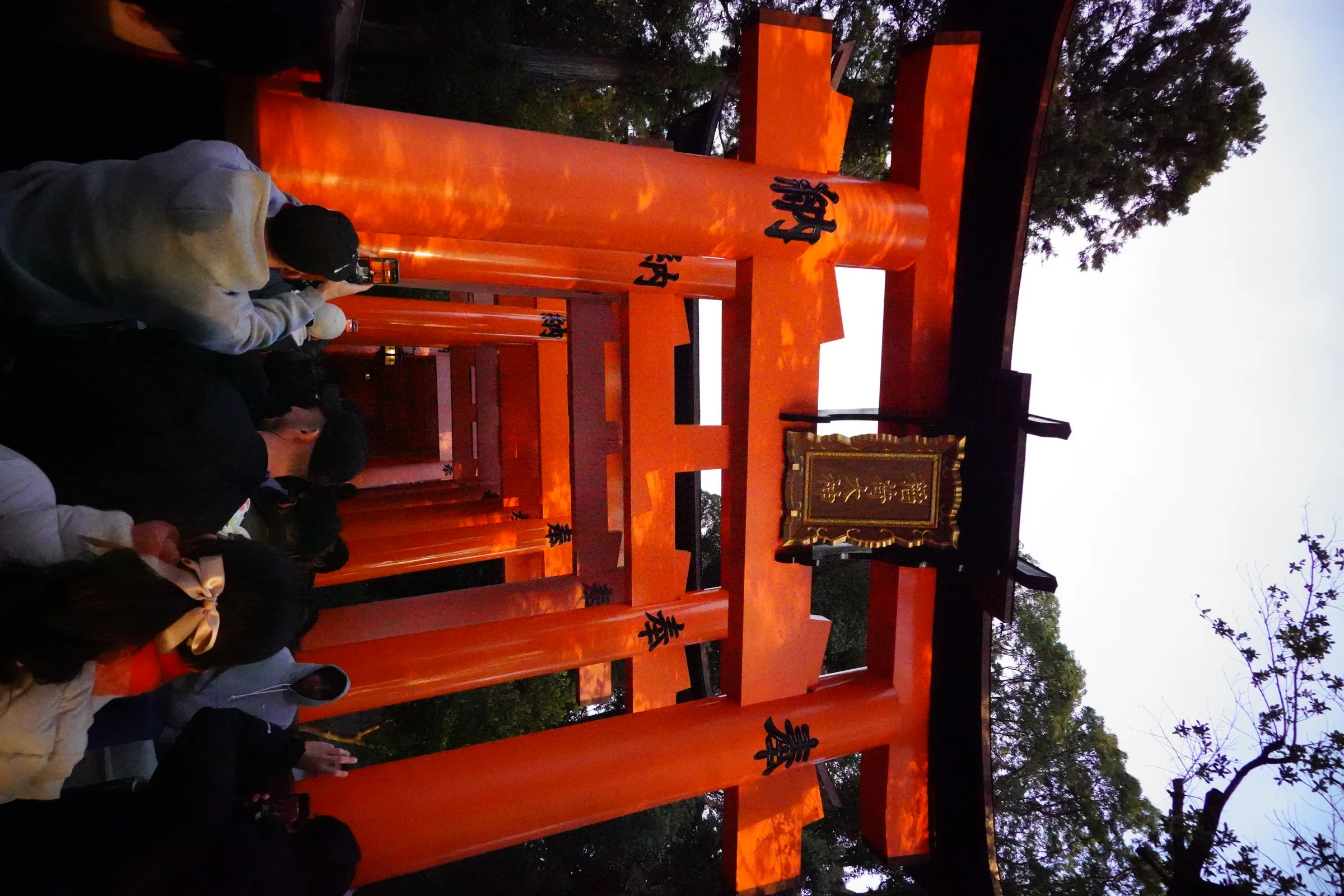 Torii gates at Fushimi Inari Taisha