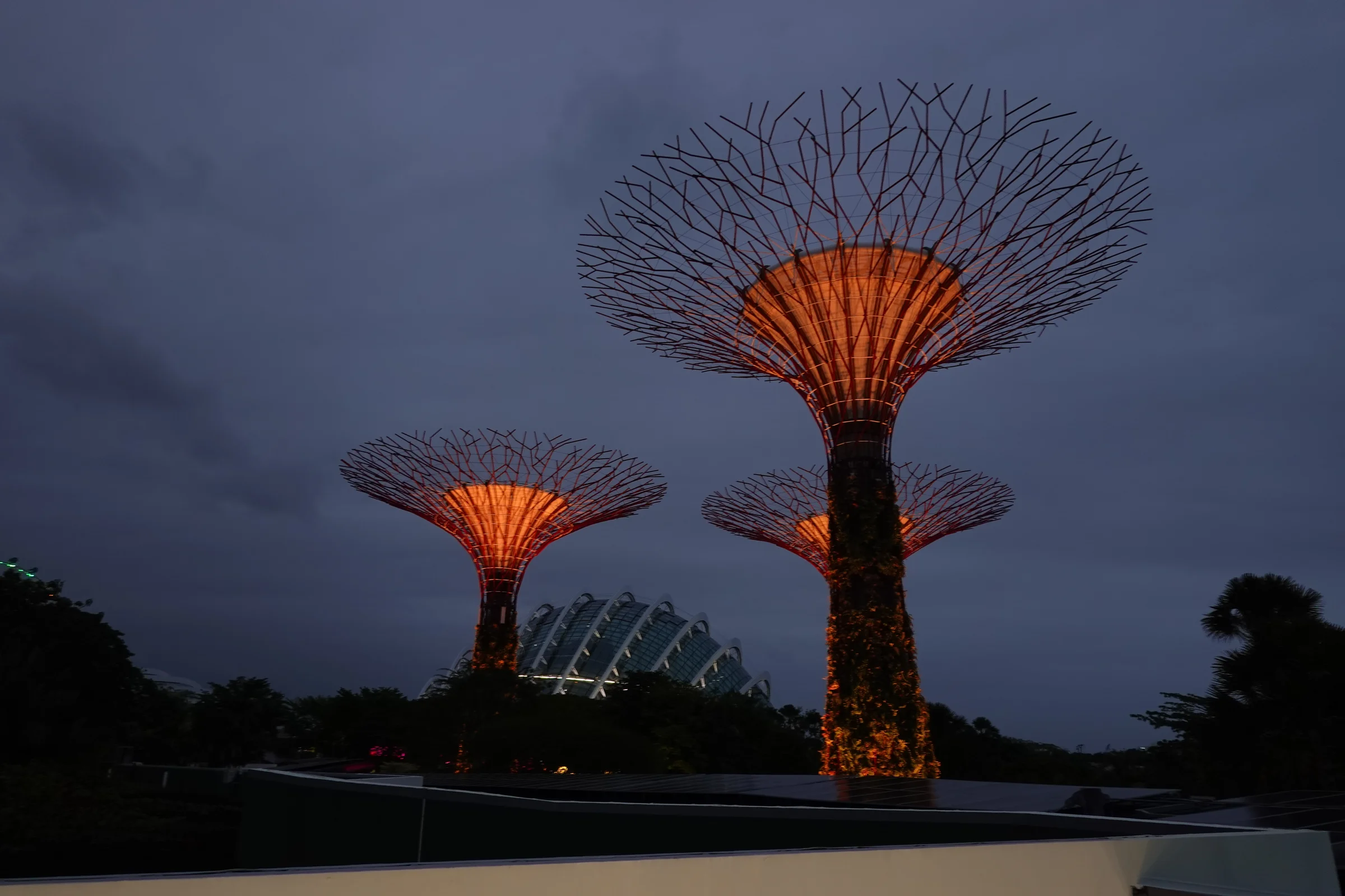 Gardens by the Bay in Singapore